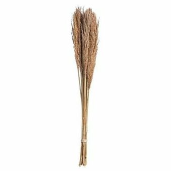 Kwantum Pluim Gras Naturel aanbieding