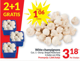 Intermarché Witte Champignons aanbieding