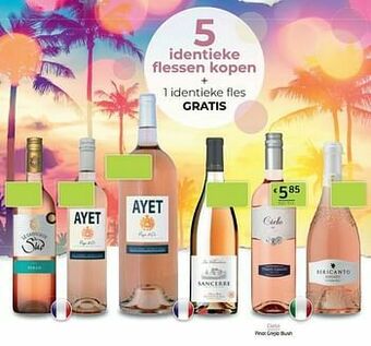 BelBev Cielo pinot grigio blush aanbieding