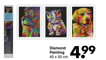 Wibra Diamond painting 40 x 50 cm aanbieding