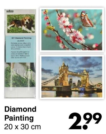 Wibra Diamond painting 20 x 30 cm aanbieding