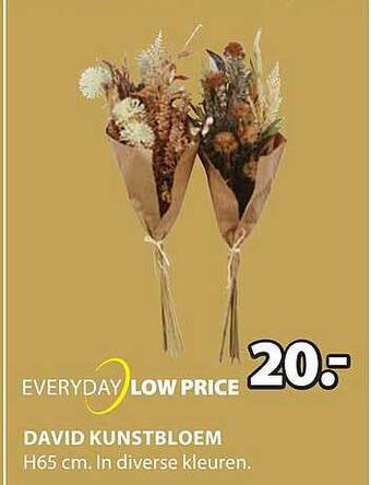 Jysk David kunstbloem aanbieding