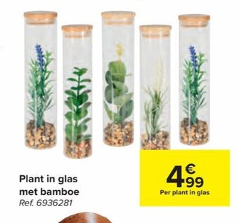 Carrefour Plant in Glas met Bamboe aanbieding