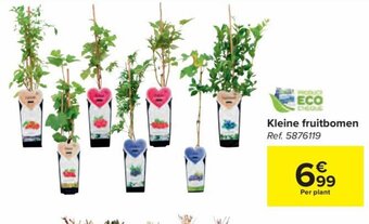 Carrefour Kleine Fruitbomen aanbieding