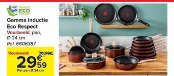 Carrefour Gamma inductie eco respect aanbieding