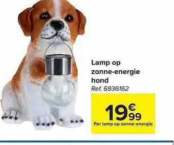 Carrefour Lamp op zonneenergie hond aanbieding
