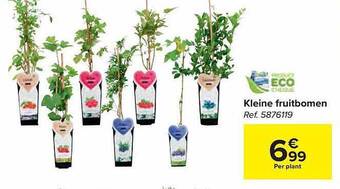 Carrefour Kleine fruitbomen aanbieding
