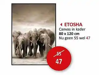 Weba Etosha canvas in kader aanbieding