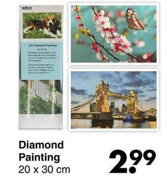 Wibra Diamond painting aanbieding