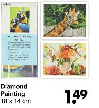 Wibra Diamond painting aanbieding