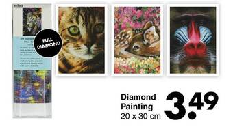 Wibra Diamond painting aanbieding