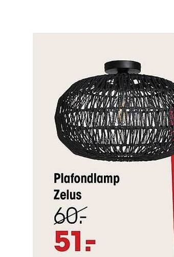 Kwantum Plafondlamp zelus aanbieding