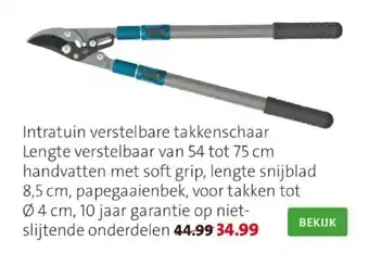Intratuin verstel bare takkenschaar