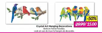 Boekenvoordeel Crystal art hanging decorations aanbieding