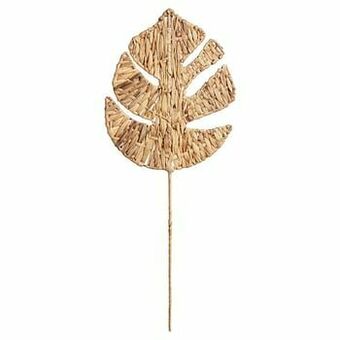 Kwantum Palmblad Gras Bruin aanbieding