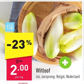 ALDI Witloof per kg aanbieding
