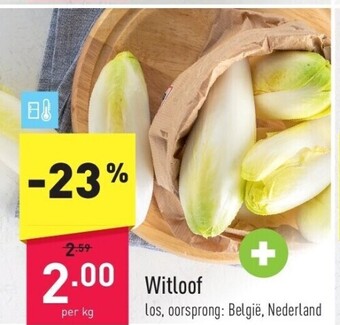 ALDI Witloof aanbieding