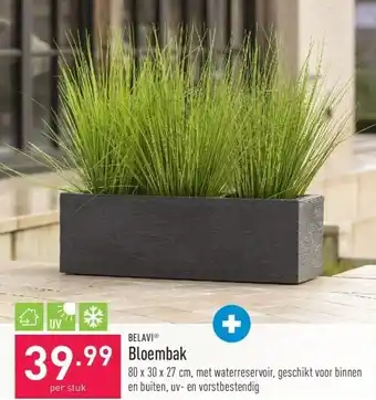 ALDI Bloembak aanbieding