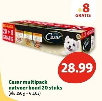 Maxi Zoo Cesar multipack natvoer hond 20 stuks aanbieding