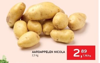 Alvo Aardappelen nicola aanbieding