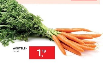 Alvo Wortelen bussel aanbieding