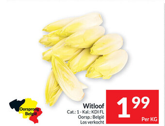 Intermarché Witloof per kg aanbieding