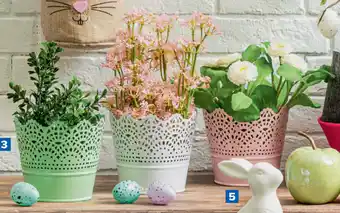 Bloempot met gaten pastel