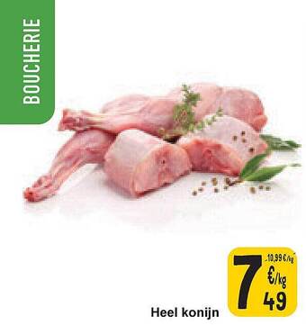 Cora Heel konijn aanbieding