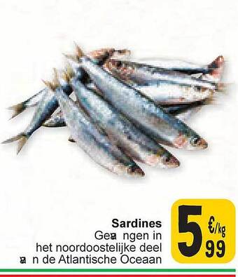 Cora Sardines aanbieding