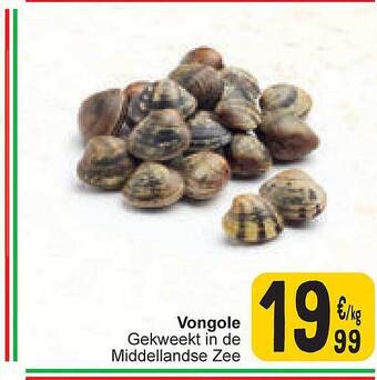 Cora Vongole aanbieding