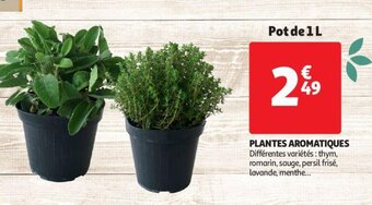 Plantes aromatiques 1L