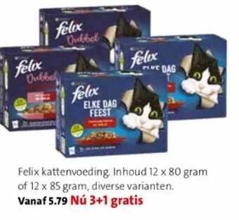 Felix kattenvoeding