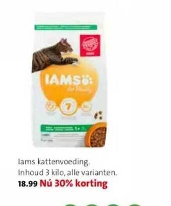Intratuin Iams kattenvoeding aanbieding