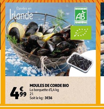 Auchan Moules de corde bio aanbieding