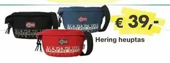 Europoint Hering heuptas aanbieding