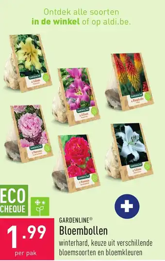 Gardenline Bloembollen per pak