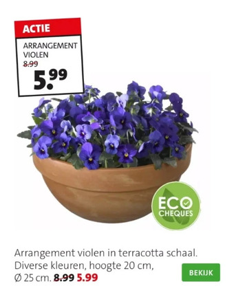Arrangement violen in terracotta schaal.