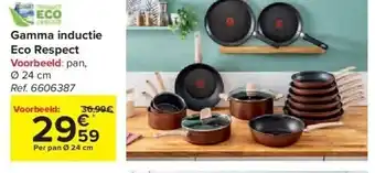 Carrefour Gamma inductie eco respect aanbieding