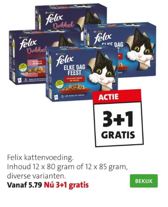 Intratuin Felix kattenvoeding. aanbieding