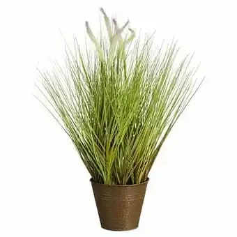 Kwantum Kunstplant Met Pluim Bruin Bruin aanbieding