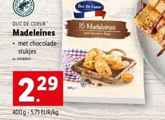 Madeleines