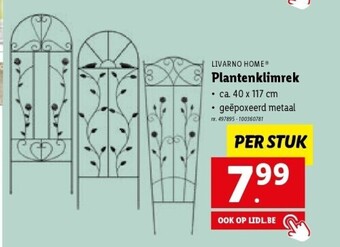 Lidl Plantenklimrek aanbieding