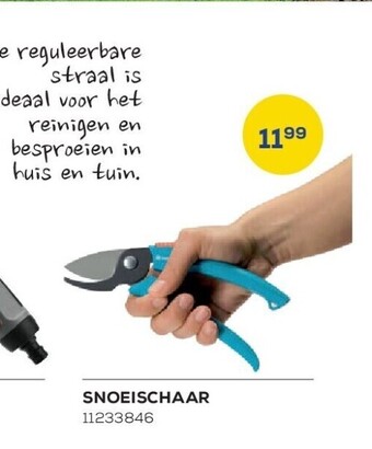 Snoeischaar