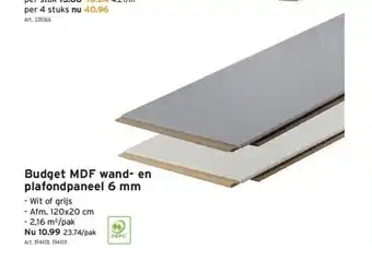 Budget mdf wand- en plafondpaneel 6 mm
