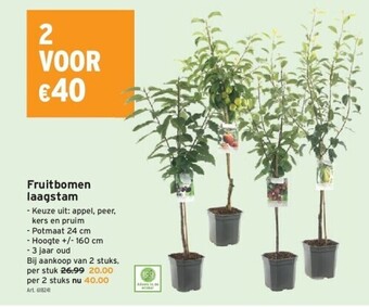 GAMMA Fruitbomen laagstam aanbieding
