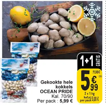 Cora Ocean Pride Gekookte Hele Kokkels 2 x 1kg aanbieding
