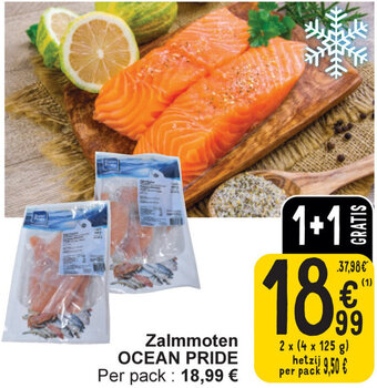Cora Ocean Pride Zalmmoten 2 x (4 x 125g) aanbieding
