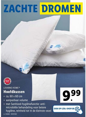 Lidl Hoofdkussen aanbieding