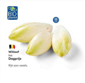 Bio Planet Witloof aanbieding