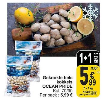 Cora Gekookte hele kokkels ocean pride aanbieding